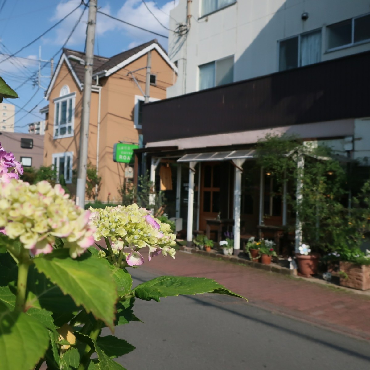 珈琲の店 もっく 東京都 東久留米 Cafesnap