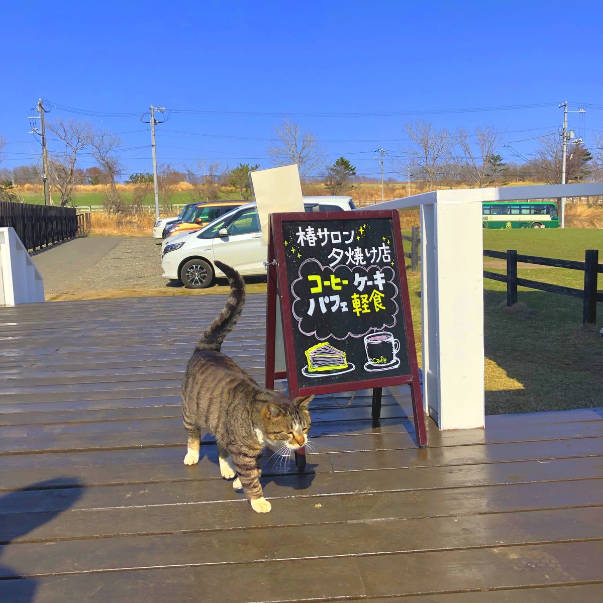 椿サロン 夕焼け店 北海道 大狩部 Cafesnap